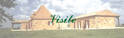 Visite